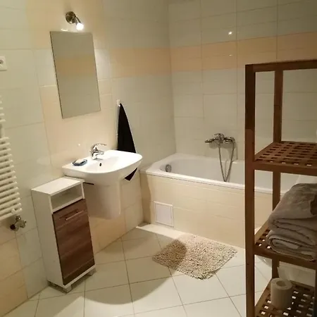 Tisza Parti Luxus Apartman Studio Lejlighed