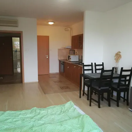 Lejlighed Tisza Parti Luxus Apartman Studio *